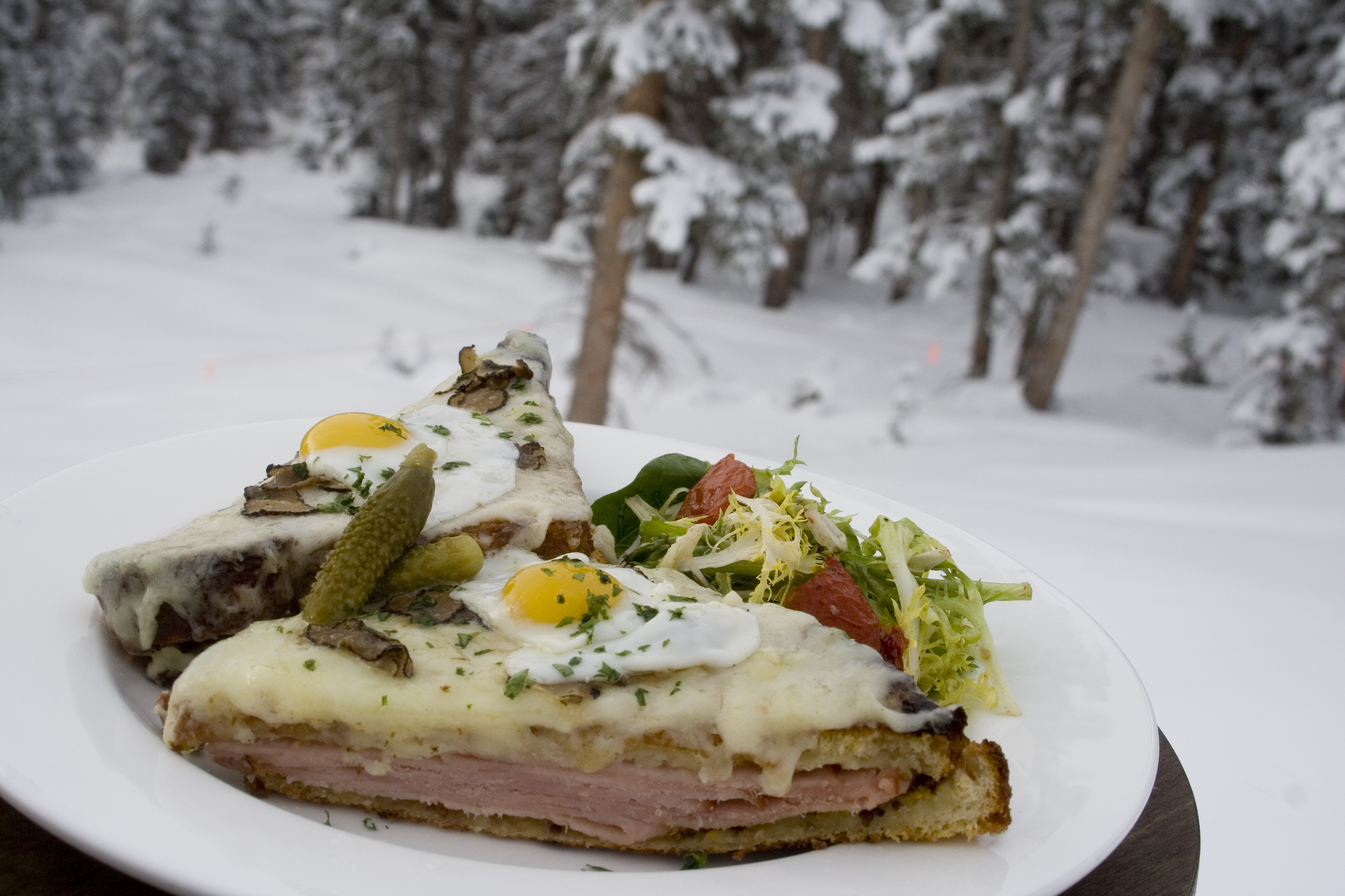 Photos Scenes From Telluride Food Republic