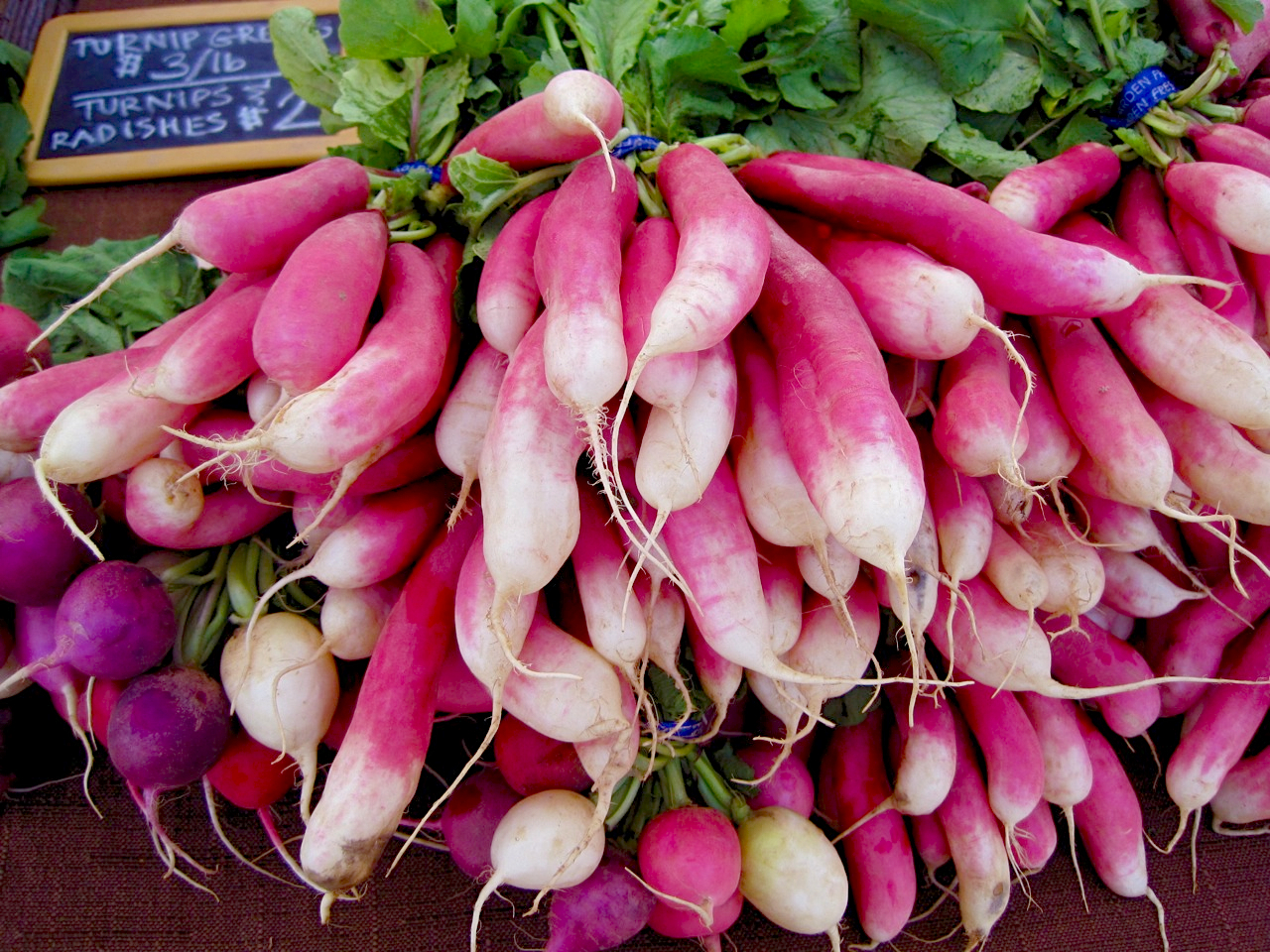 What is useful for radish What is useful for radish
