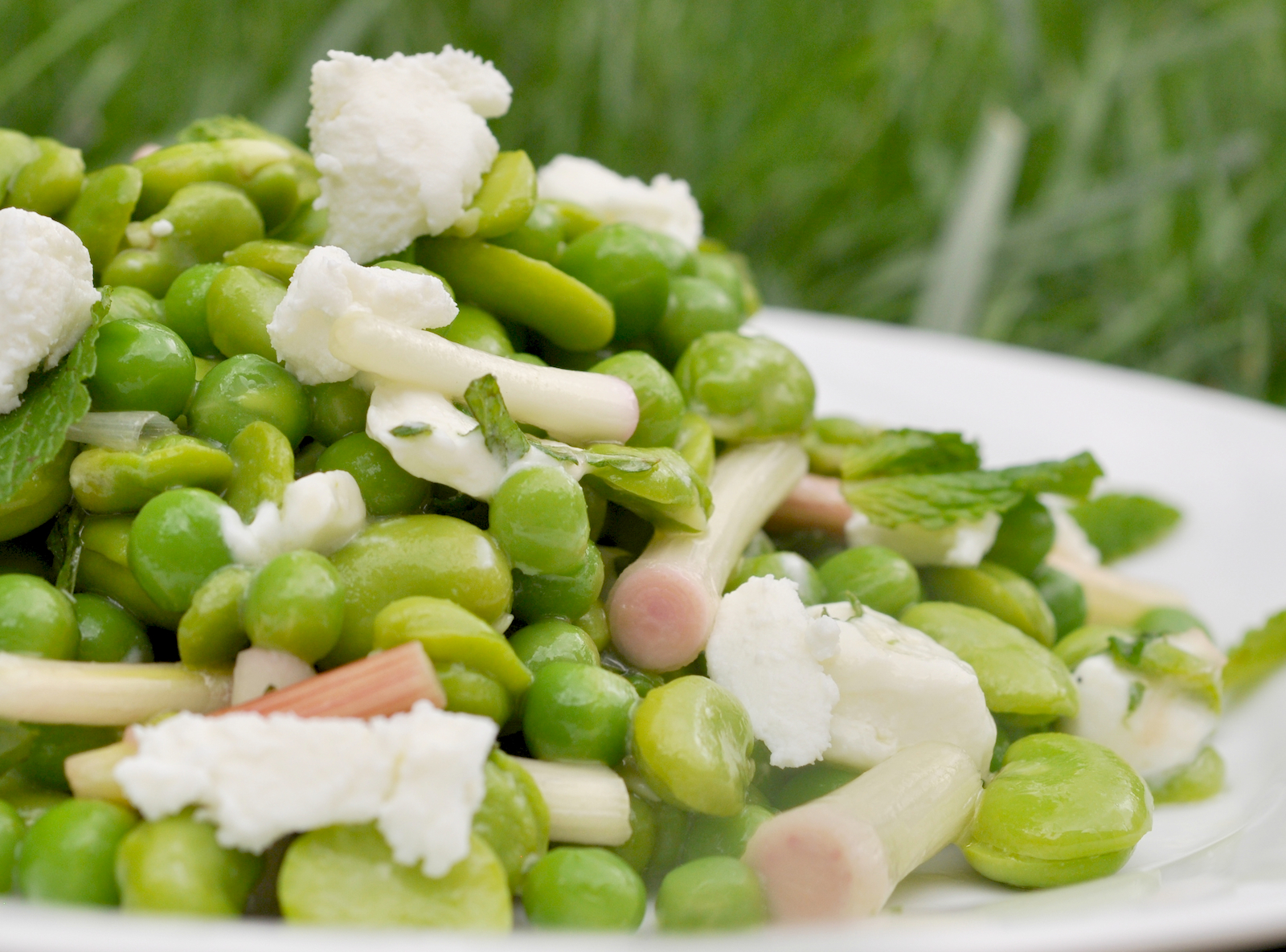 Fava Bean Salad With Pickled Ramps And Goat Cheese Recipe Food Republic