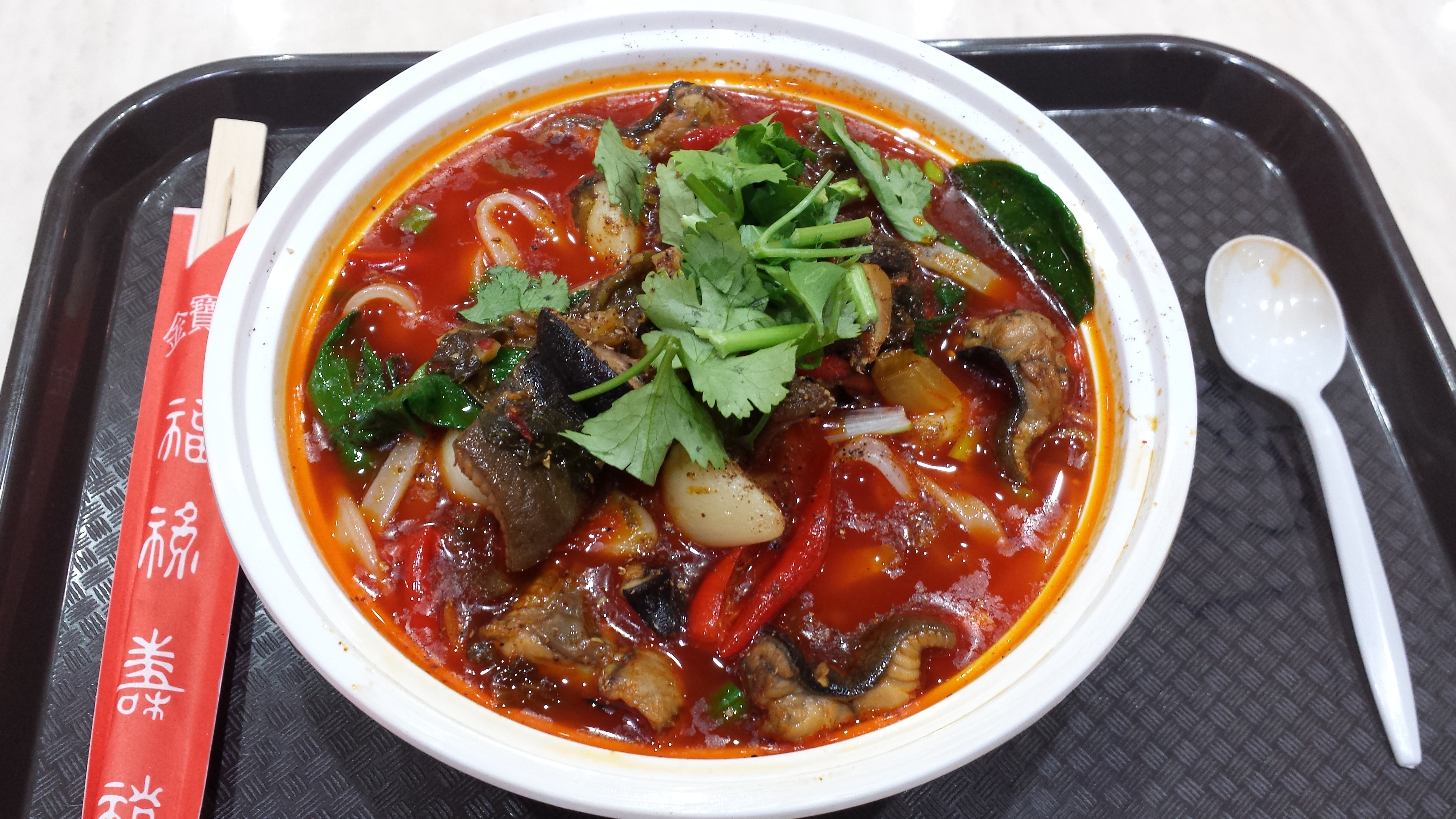 10 Dishes To Seek Out In The Chinatown Food Courts In Queens Food