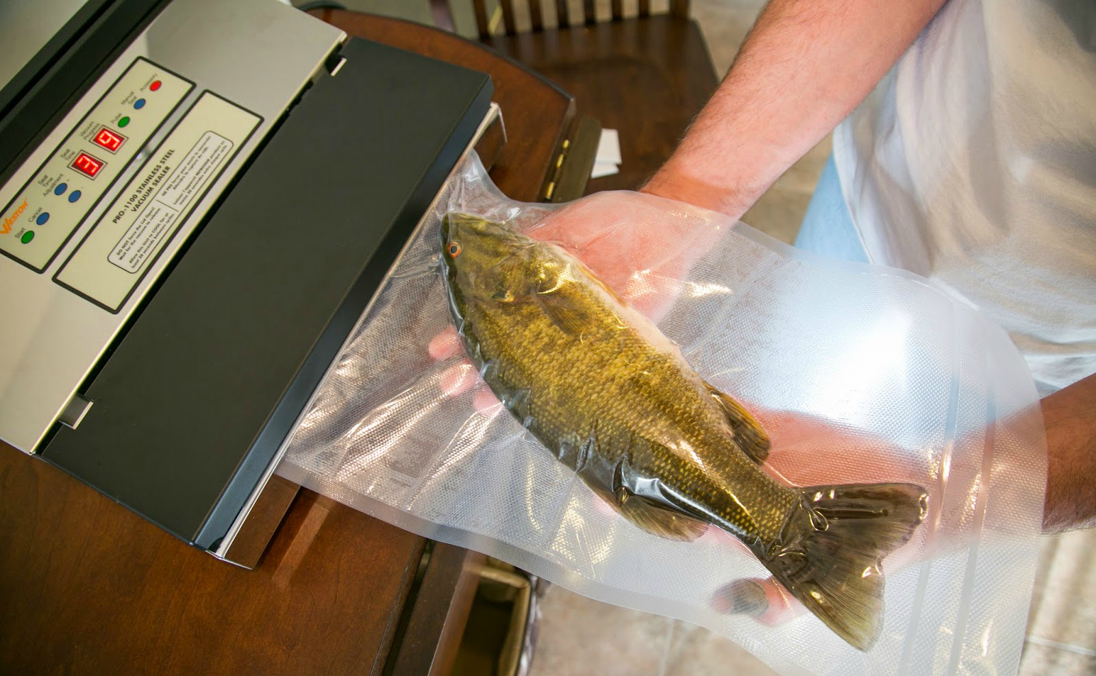 The Seal Deal A Vacuum Sealer Perfect For Hunters And Costco Fans