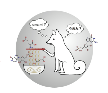 RamenChemistryLogo