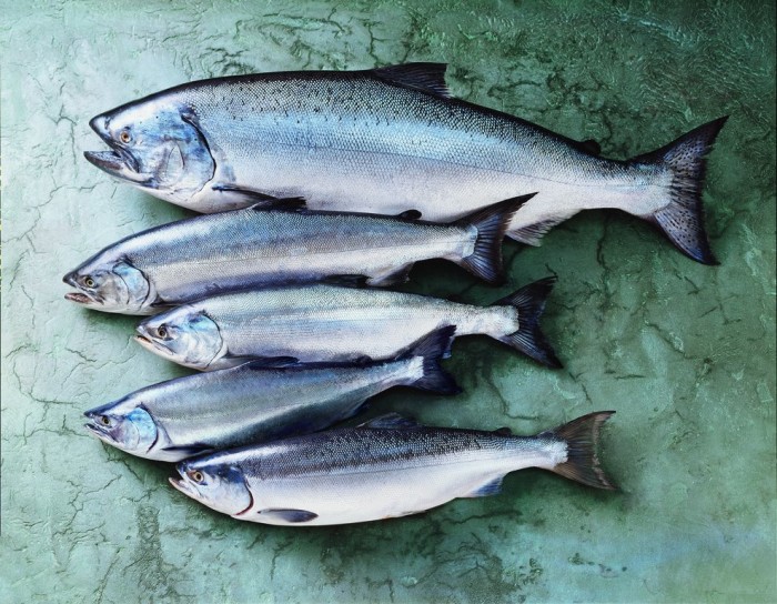 Wild Alaska Seafood