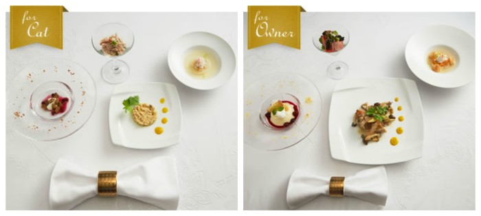 The four-course meal for both cat and owner. (Photo: Nestle Japan).