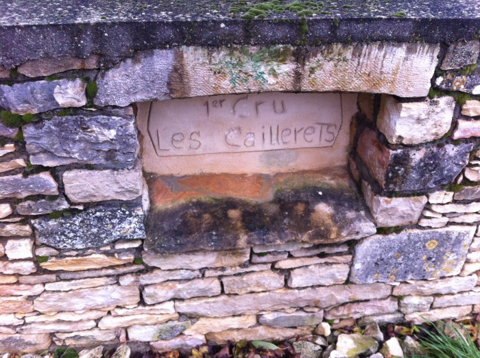 Terroir-3