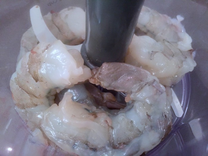 shrimp_anchor