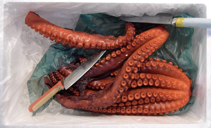 QUI_JapanEdits_0004_octopus