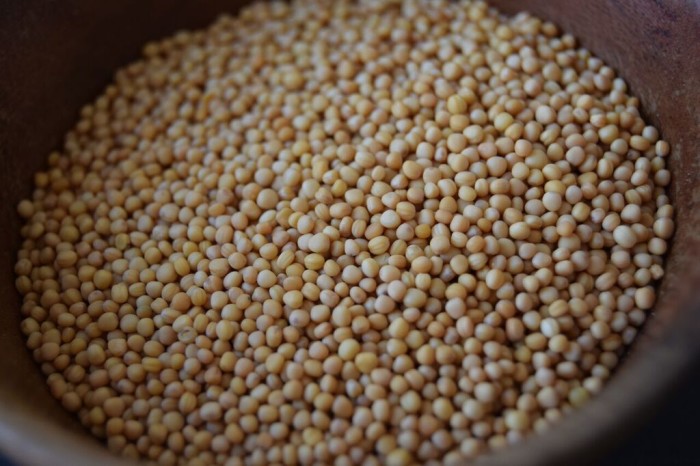 mustardseeds