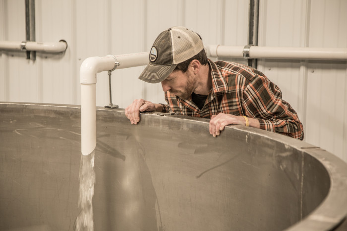 Maple sap is poured straight into the vats.