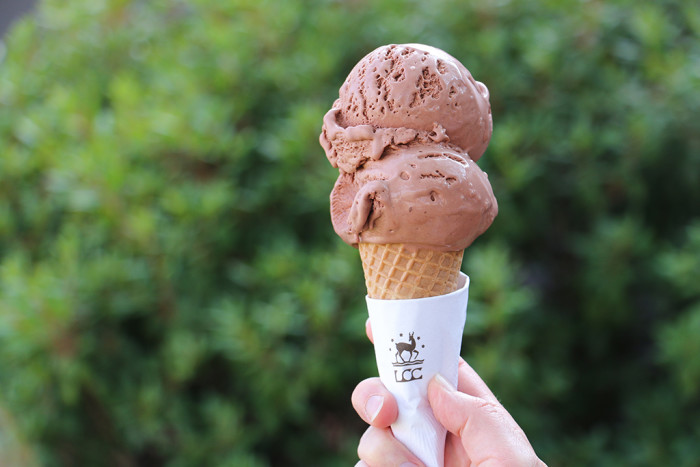 LakeChamplainDR Chocolate Ice Creamsm