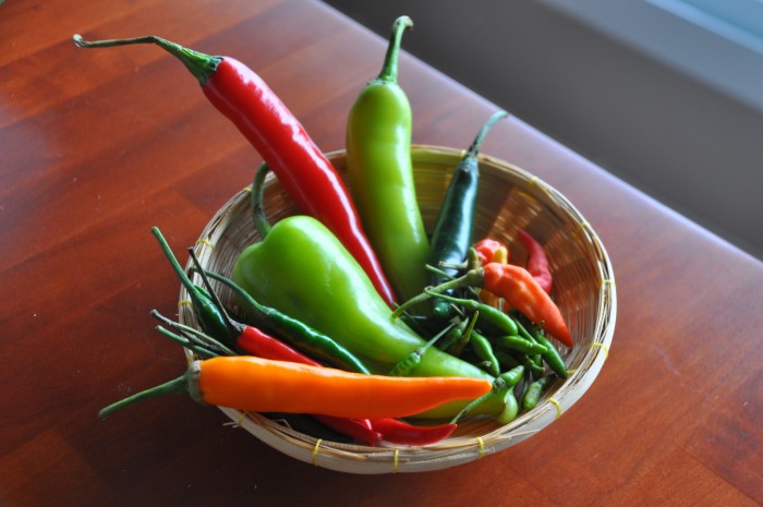These nine chilies give Thai cuisine its ubiquitous spicy character. (Photos: Cat Lau.)