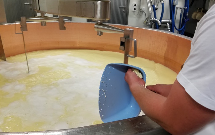 Gruyere_Dairy_Covington_1
