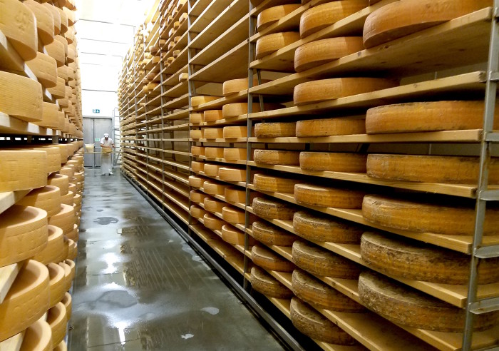 Gruyere_Dairy_Covington_5
