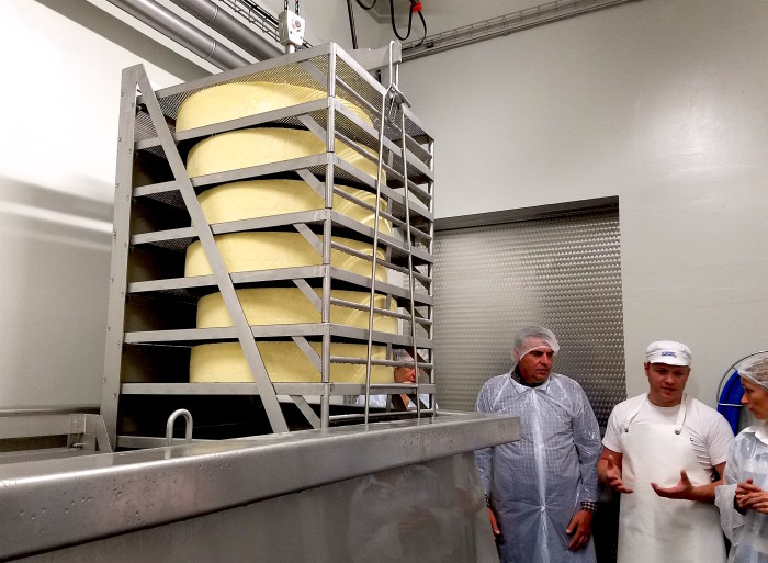 Gruyere_Dairy_Covington_7