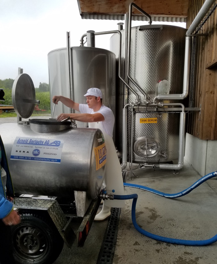 Gruyere_Dairy_Covington_9