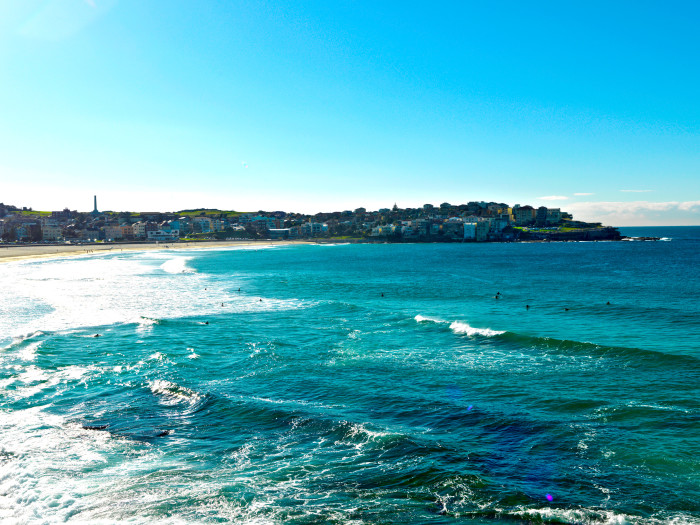 When you're not surfing the waves, Bondi Beach has a lot of hyperlocal bounty to offer.
