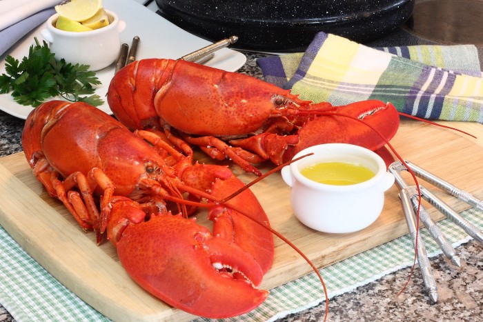 lobster_main
