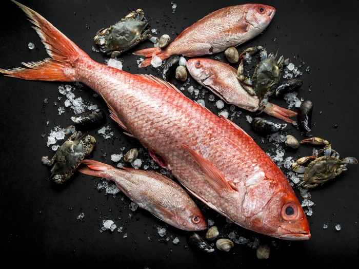 One Fifth Fish
