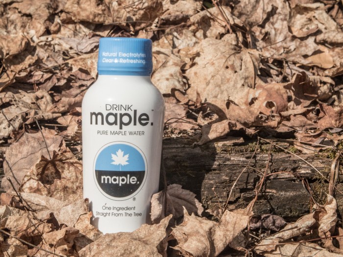 maple water