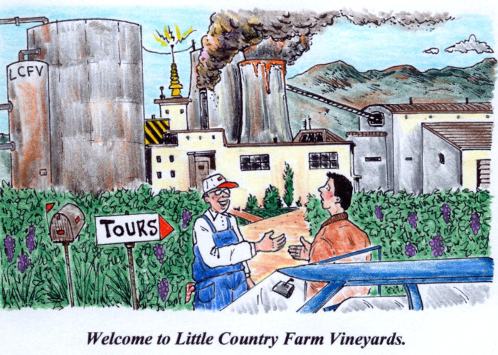 Welcome to Little Country Farm Vineyards.