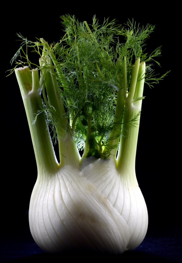 Fennel by pha10019 via flickr