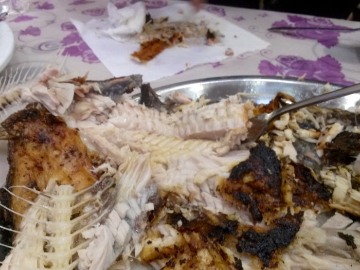 fish_mangled