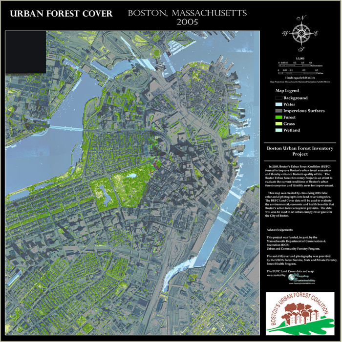 Castronovoboston_forest_cover_map_downtown150dpiSmall