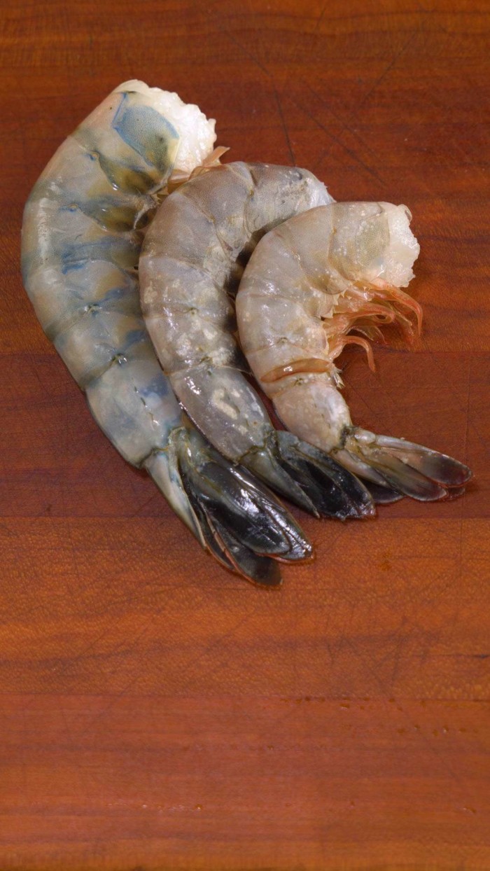shrimp