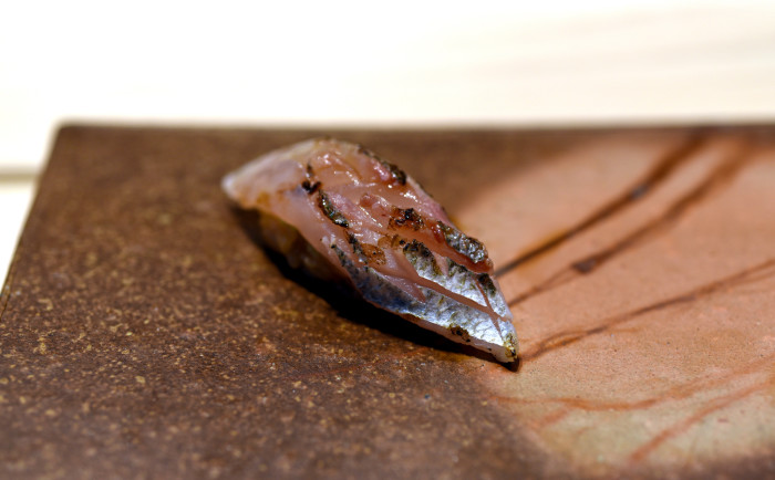 barracuda