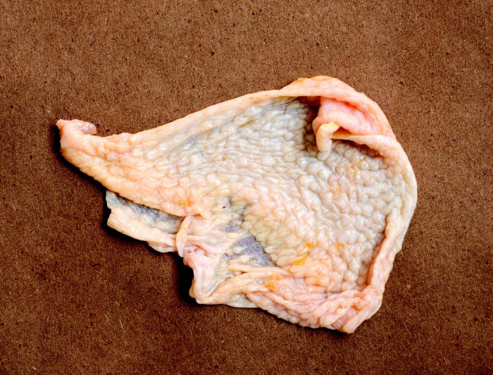 chickenskin (2)