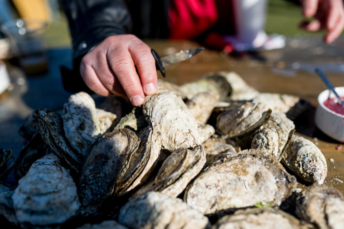oysters at Charleston Wine and food festival
