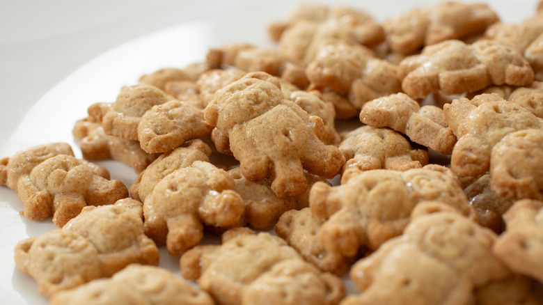 Closeup of a pile of Teddy Grahams on a dish