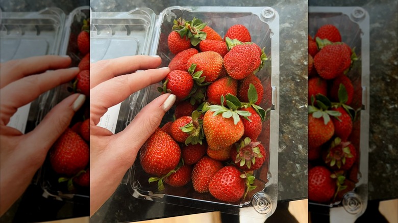 Hand picking Aldi strawberries out of a plastic clamshell container