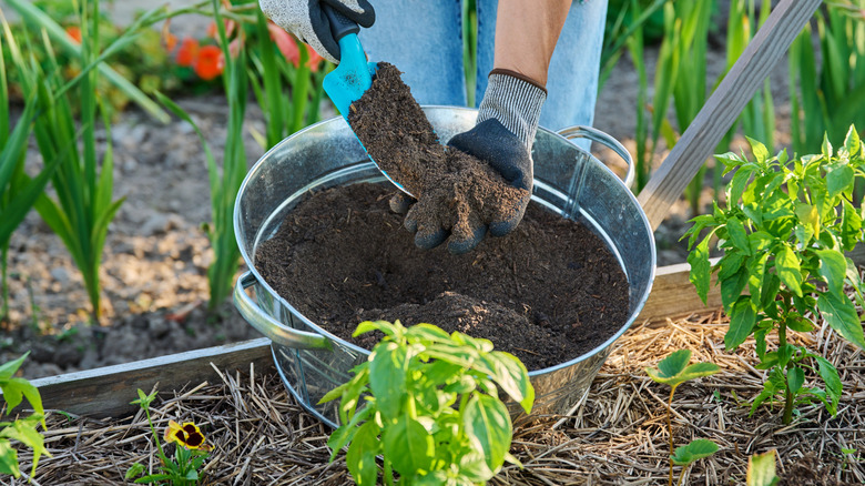 unseen person testing soil with their hands