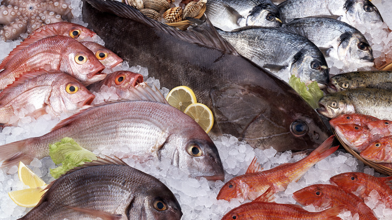 fresh fish on ice