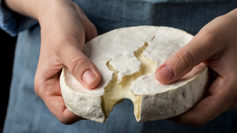 Woman holding a wheel of camembert