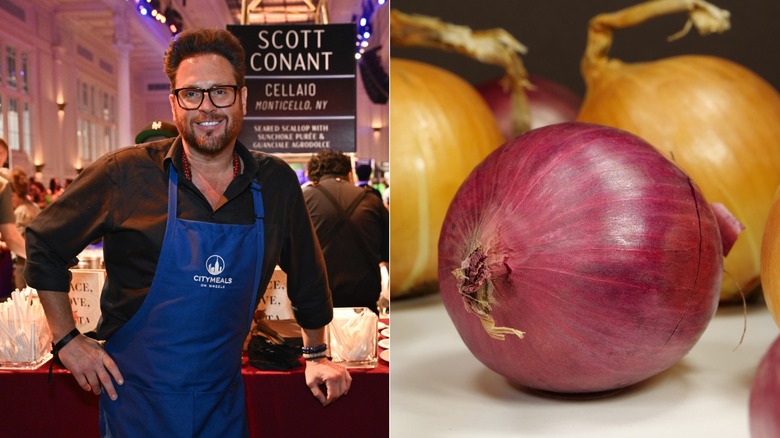 Scott Conant / Red onion surrounded by other onions