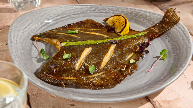 Grilled flounder