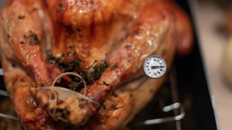 Roasted turkey with meat thermometer