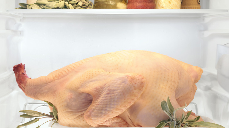 A turkey in the refrigerator