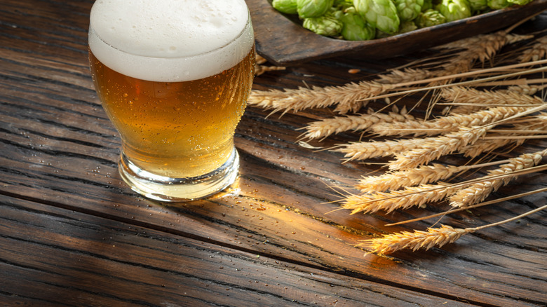 A glass of beer on a wooden table with hops and wheat beside it