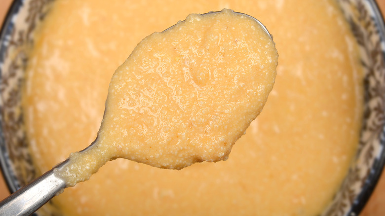 A spoonful of lumpy, mysterious stew