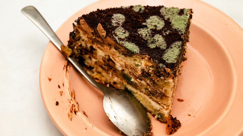 Green mold grows on a slice of cake on a plate with a spoon