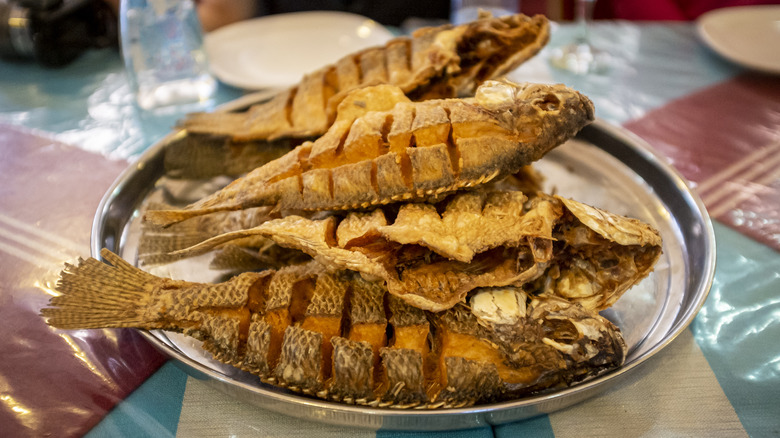 Ethiopian fried fish or asa