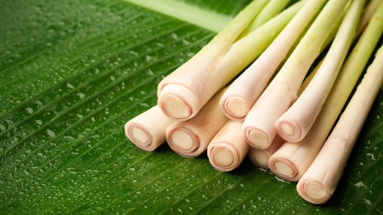 Fresh cut lemongrass on a banana leaf