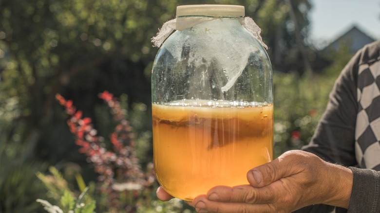 jar of fermented kombucha