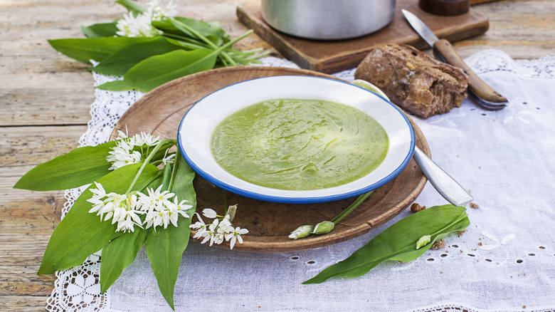 A creamy bowl of green soup with some wild garlic greens.