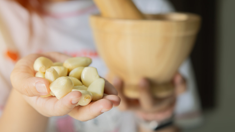 Hand holding pile of garlic cloves with a mortal and pestle in the background
