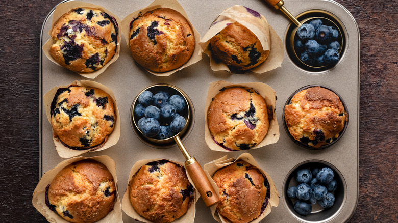 Tray of freshly baked blueberry muffins with parchment paper liners