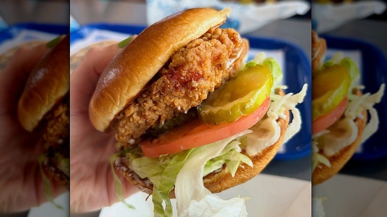 Closeup of a loaded Culver's chicken sandwich